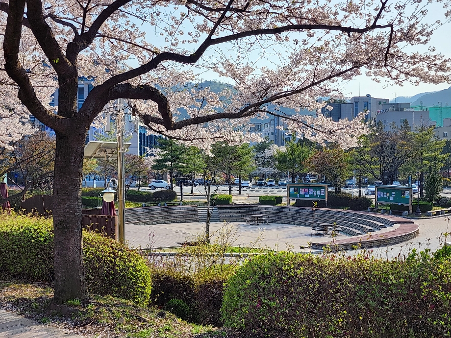 2025 봄이 머무는 자리 이미지