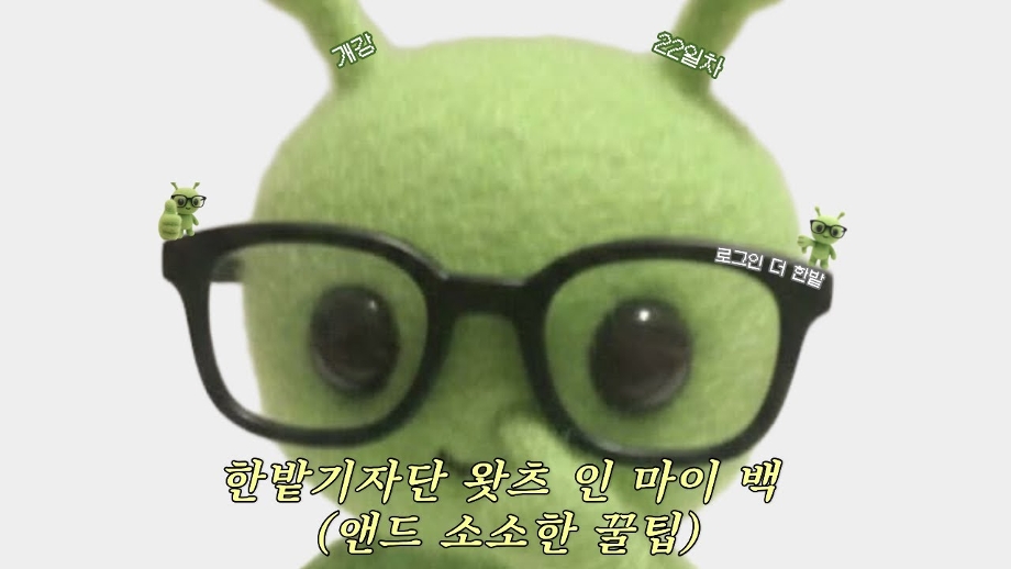 [로그인 더 한밭]한밭기자단 왓츠 인 마이 백(앤드 소소한 꿀팁) 이미지