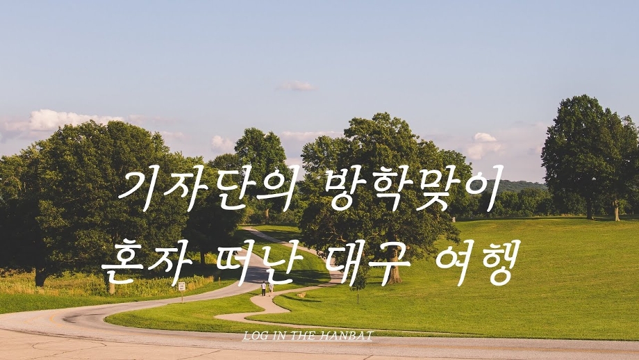  [로그인 더 한밭] 기자단의 혼자 떠난 대구 여행 이미지